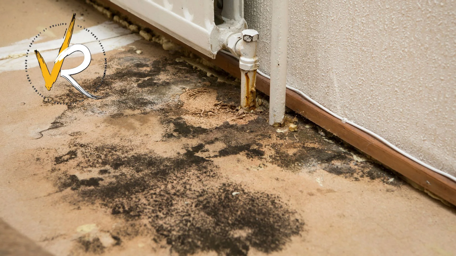 Moisture and mold conditions in a residential crawl space