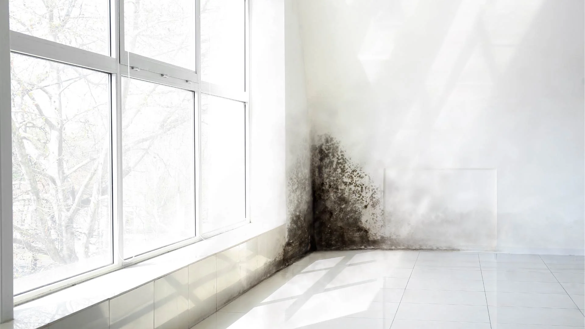 Indoor wall affected by moisture and mold near a window