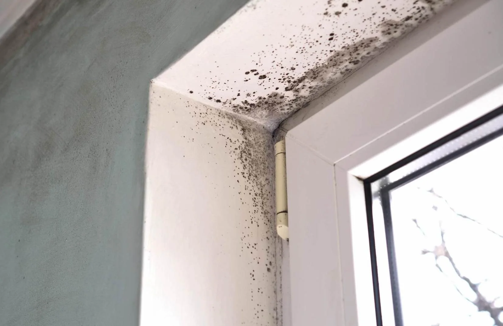 Black-coloured mold around the corner of a doorway