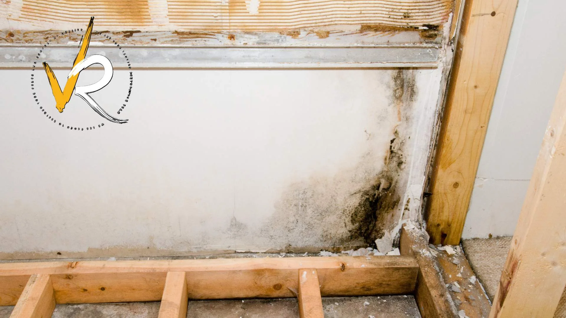 Inspection of suspected hidden mold inside a wall